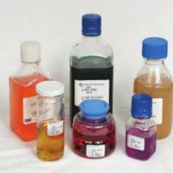Northeast Lab Services 