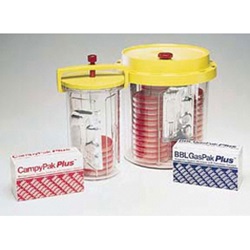 BBL™ GasPak™ 260627