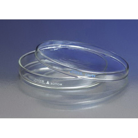 Pyrex® 3160-150