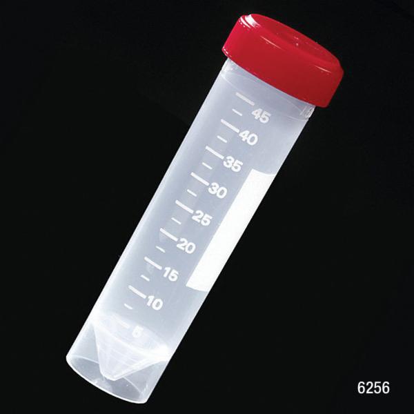 Globe Scientific 6256