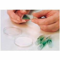 Prepared Microbiology Tubes