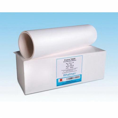 Whatman&trade; 10402525