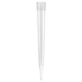 BrandTech Scientific 702604