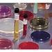 Mycoflask™ 221038