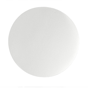 Whatman™ Reeve Angel® 5802-240