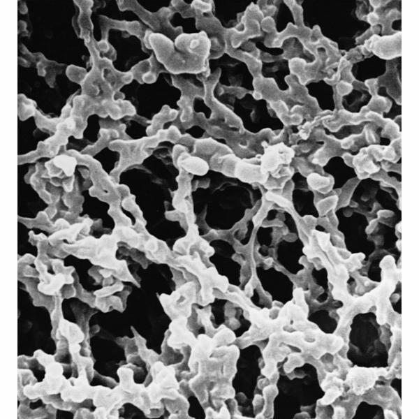 MF-Millipore™ SSWP04700