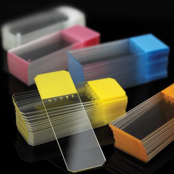 Diamond™ Frosted 1 End 1 Side Microscope Slide with Beveled Edge ...